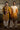 Haldi Yellow Kurta With Resham Embroidery