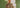 Best Indo-Western Outfits for Wedding Functions in the USA